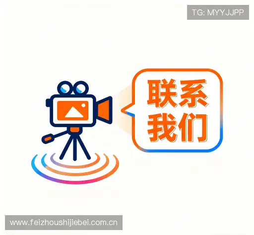 咨询协助